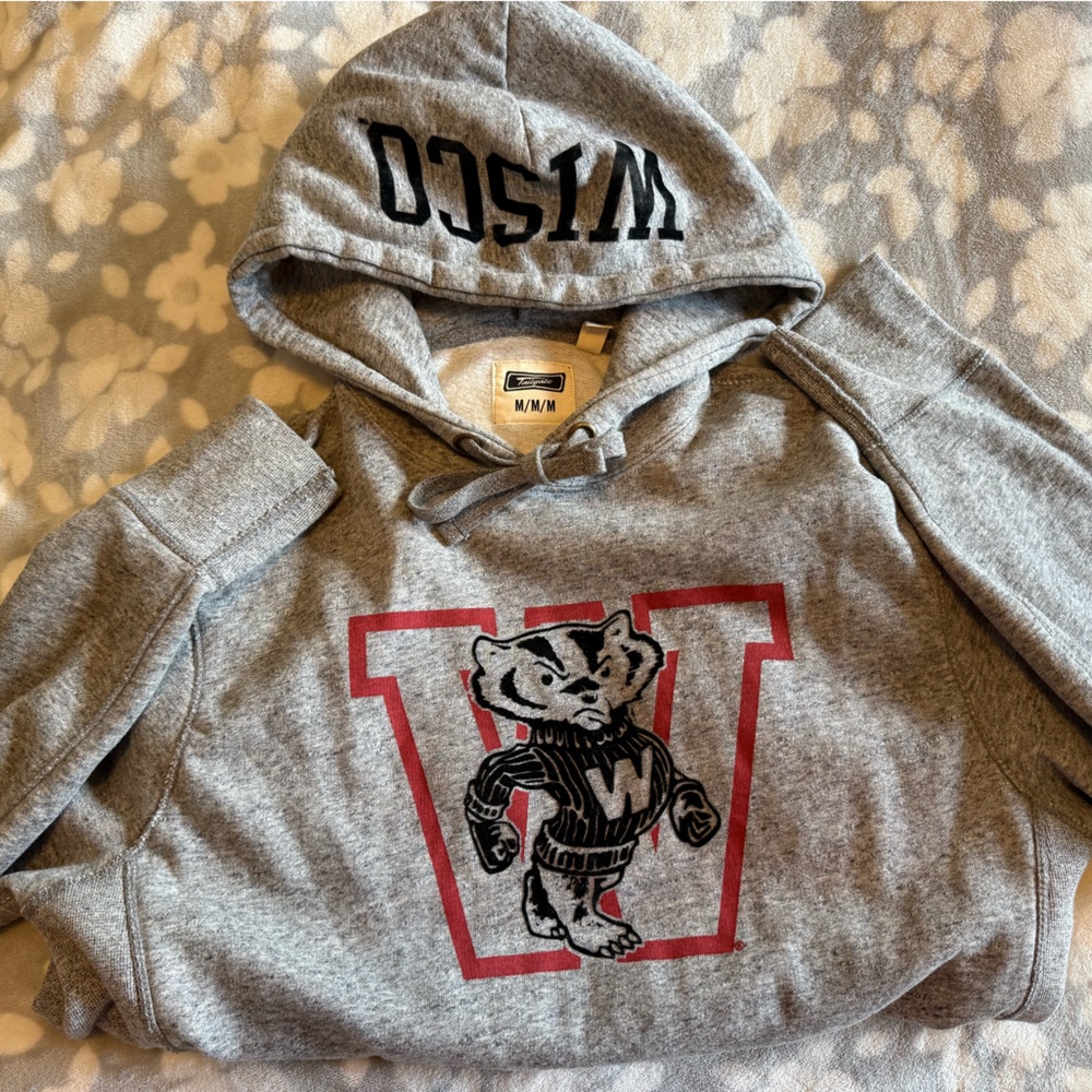 Gray Wisconsin Hoodie